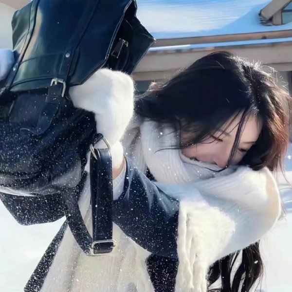 塞外情仇
